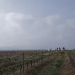 & Josep Winery Hotel Bot