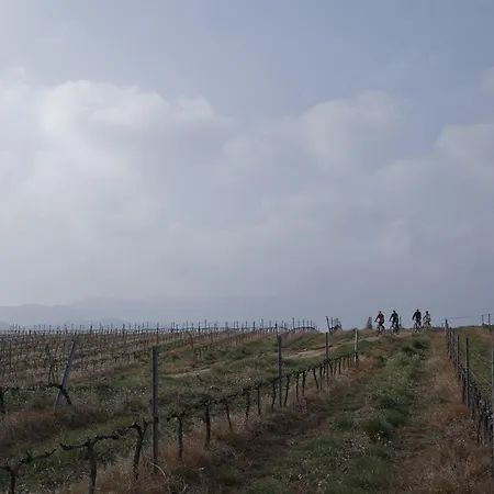 & Josep Winery מלון Bot