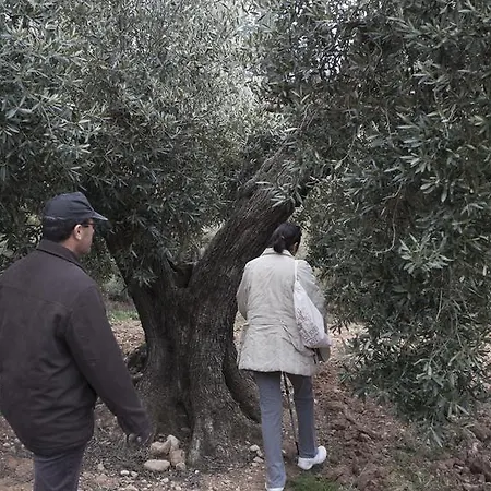 מלון & Josep Winery